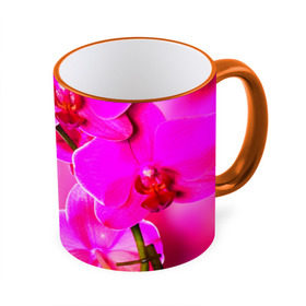 Кружка 3D с принтом Орхидея в Курске, керамика | ёмкость 330 мл | Тематика изображения на принте: лепесток | новая | орхидея | природа | цветок | яркая