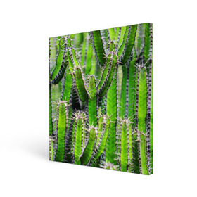 Холст квадратный с принтом Кактус в Курске, 100% ПВХ |  | кактус | колючки | прикольные картинки | природа | цветочки | цветы