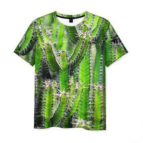 Мужская футболка 3D с принтом Кактус в Курске, 100% полиэфир | прямой крой, круглый вырез горловины, длина до линии бедер | кактус | колючки | прикольные картинки | природа | цветочки | цветы