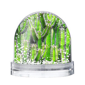 Снежный шар с принтом Кактус в Курске, Пластик | Изображение внутри шара печатается на глянцевой фотобумаге с двух сторон | кактус | колючки | прикольные картинки | природа | цветочки | цветы