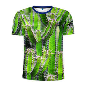 Мужская футболка 3D спортивная с принтом Кактус в Курске, 100% полиэстер с улучшенными характеристиками | приталенный силуэт, круглая горловина, широкие плечи, сужается к линии бедра | кактус | колючки | прикольные картинки | природа | цветочки | цветы