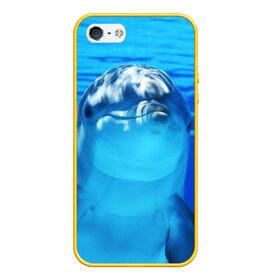 Чехол для iPhone 5/5S матовый с принтом Дельфин в Курске, Силикон | Область печати: задняя сторона чехла, без боковых панелей | вода | дельфин | море | отдых | отпуск | подводный мир | туризм