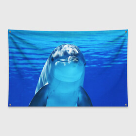 Флаг-баннер с принтом Дельфин в Курске, 100% полиэстер | размер 67 х 109 см, плотность ткани — 95 г/м2; по краям флага есть четыре люверса для крепления | вода | дельфин | море | отдых | отпуск | подводный мир | туризм