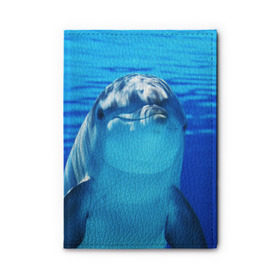 Обложка для автодокументов с принтом Дельфин в Курске, натуральная кожа |  размер 19,9*13 см; внутри 4 больших “конверта” для документов и один маленький отдел — туда идеально встанут права | Тематика изображения на принте: вода | дельфин | море | отдых | отпуск | подводный мир | туризм