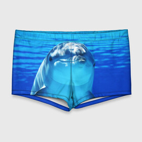 Мужские купальные плавки 3D с принтом Дельфин в Курске, Полиэстер 85%, Спандекс 15% |  | Тематика изображения на принте: вода | дельфин | море | отдых | отпуск | подводный мир | туризм