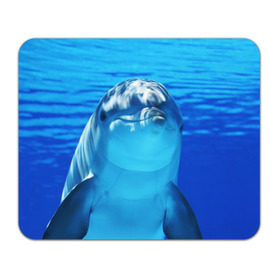Коврик прямоугольный с принтом Дельфин в Курске, натуральный каучук | размер 230 х 185 мм; запечатка лицевой стороны | Тематика изображения на принте: вода | дельфин | море | отдых | отпуск | подводный мир | туризм