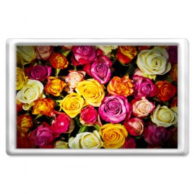Магнит 45*70 с принтом Букет роз в Курске, Пластик | Размер: 78*52 мм; Размер печати: 70*45 | жёлтый | красный | лепестки | прикольные картинки | розы | цветочки | цветы