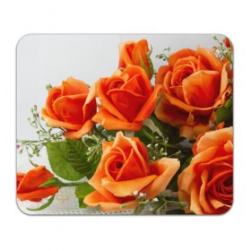 Коврик прямоугольный с принтом Розы в Курске, натуральный каучук | размер 230 х 185 мм; запечатка лицевой стороны | бабочки | весна | краски | лето | осень | розы | цветок | цветы