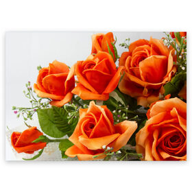 Поздравительная открытка с принтом Розы в Курске, 100% бумага | плотность бумаги 280 г/м2, матовая, на обратной стороне линовка и место для марки
 | бабочки | весна | краски | лето | осень | розы | цветок | цветы