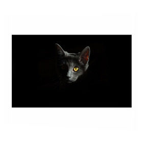 Бумага для упаковки 3D с принтом Кошачий взгляд в Курске, пластик и полированная сталь | круглая форма, металлическое крепление в виде кольца | Тематика изображения на принте: глаз | киска | кот | котёнок | кошка | прикольные картинки | темнота | тьма