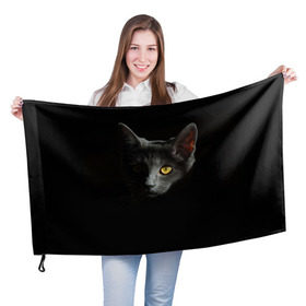 Флаг 3D с принтом Кошачий взгляд в Курске, 100% полиэстер | плотность ткани — 95 г/м2, размер — 67 х 109 см. Принт наносится с одной стороны | глаз | киска | кот | котёнок | кошка | прикольные картинки | темнота | тьма