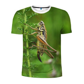 Мужская футболка 3D спортивная с принтом Кузнечик в Курске, 100% полиэстер с улучшенными характеристиками | приталенный силуэт, круглая горловина, широкие плечи, сужается к линии бедра | насекомые. кузнечик | природа | стебель