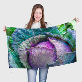 Флаг 3D с принтом Капуста в Курске, 100% полиэстер | плотность ткани — 95 г/м2, размер — 67 х 109 см. Принт наносится с одной стороны | дача | еда | зелень | капуста | овощи | огород | растения | цветная капуста