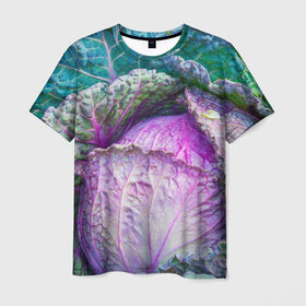 Мужская футболка 3D с принтом Капуста в Курске, 100% полиэфир | прямой крой, круглый вырез горловины, длина до линии бедер | дача | еда | зелень | капуста | овощи | огород | растения | цветная капуста