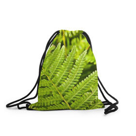 Рюкзак-мешок 3D с принтом Папоротник в Курске, 100% полиэстер | плотность ткани — 200 г/м2, размер — 35 х 45 см; лямки — толстые шнурки, застежка на шнуровке, без карманов и подкладки | ботаника | зелень | листья | папоротник | природа | растения | цветок