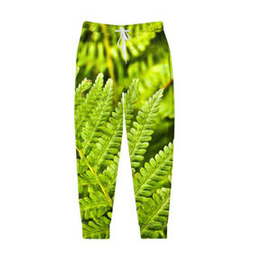 Мужские брюки 3D с принтом Папоротник в Курске, 100% полиэстер | манжеты по низу, эластичный пояс регулируется шнурком, по бокам два кармана без застежек, внутренняя часть кармана из мелкой сетки | ботаника | зелень | листья | папоротник | природа | растения | цветок
