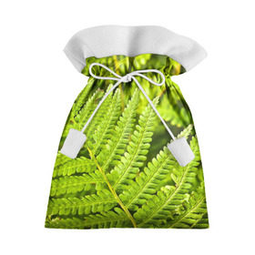 Подарочный 3D мешок с принтом Папоротник в Курске, 100% полиэстер | Размер: 29*39 см | Тематика изображения на принте: ботаника | зелень | листья | папоротник | природа | растения | цветок