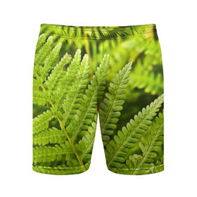 Мужские шорты 3D спортивные с принтом Папоротник в Курске,  |  | Тематика изображения на принте: ботаника | зелень | листья | папоротник | природа | растения | цветок