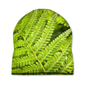 Шапка 3D с принтом Папоротник в Курске, 100% полиэстер | универсальный размер, печать по всей поверхности изделия | ботаника | зелень | листья | папоротник | природа | растения | цветок