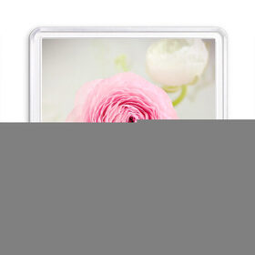 Магнит 55*55 с принтом Розовый цветок в Курске, Пластик | Размер: 65*65 мм; Размер печати: 55*55 мм | 