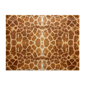 Обложка для студенческого билета с принтом Шкура Жирафа в Курске, натуральная кожа | Размер: 11*8 см; Печать на всей внешней стороне | textures | животное | жираф | текстура
