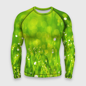 Мужской рашгард 3D с принтом Роса на траве в Курске,  |  | зелёный | зелень | луг | роса | яркий
