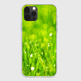 Чехол для iPhone 12 Pro Max с принтом Роса на траве в Курске, Силикон |  | зелёный | зелень | луг | роса | яркий
