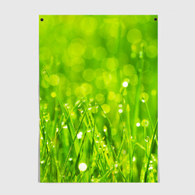 Постер с принтом Роса на траве в Курске, 100% бумага
 | бумага, плотность 150 мг. Матовая, но за счет высокого коэффициента гладкости имеет небольшой блеск и дает на свету блики, но в отличии от глянцевой бумаги не покрыта лаком | зелёный | зелень | луг | роса | яркий