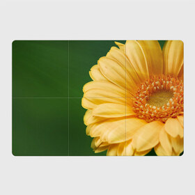 Магнитный плакат 3Х2 с принтом Лепестки в Курске, Полимерный материал с магнитным слоем | 6 деталей размером 9*9 см | герберы | зелень | лепестки | природа | растения | цветы