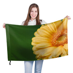 Флаг 3D с принтом Лепестки в Курске, 100% полиэстер | плотность ткани — 95 г/м2, размер — 67 х 109 см. Принт наносится с одной стороны | герберы | зелень | лепестки | природа | растения | цветы