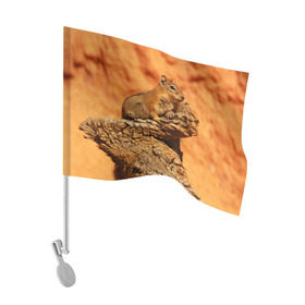 Флаг для автомобиля с принтом Суслик в Курске, 100% полиэстер | Размер: 30*21 см | голова животного | грызун | песок | природа | пустыня | степь | суслик