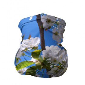Бандана-труба 3D с принтом Вишнёвый цвет в Курске, 100% полиэстер, ткань с особыми свойствами — Activecool | плотность 150‒180 г/м2; хорошо тянется, но сохраняет форму | весна | вишня | лепестки | прикольные картинки | цветение | цветы