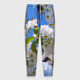 Мужские брюки 3D с принтом Вишнёвый цвет в Курске, 100% полиэстер | манжеты по низу, эластичный пояс регулируется шнурком, по бокам два кармана без застежек, внутренняя часть кармана из мелкой сетки | весна | вишня | лепестки | прикольные картинки | цветение | цветы
