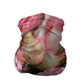 Бандана-труба 3D с принтом Розы в Курске, 100% полиэстер, ткань с особыми свойствами — Activecool | плотность 150‒180 г/м2; хорошо тянется, но сохраняет форму | букет | вода | капли | лепестки | природа | растения | розовые | розы | роса | цветок | цветы