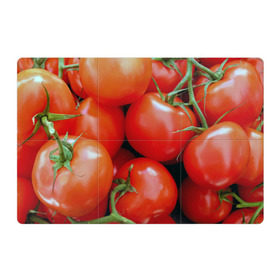 Магнитный плакат 3Х2 с принтом Томаты в Курске, Полимерный материал с магнитным слоем | 6 деталей размером 9*9 см | дача | еда | зелень | красный | овощи | огород | помидоры | томаты