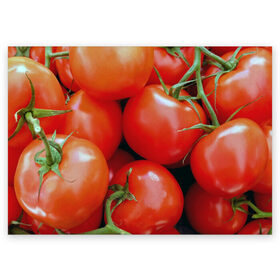 Поздравительная открытка с принтом Томаты в Курске, 100% бумага | плотность бумаги 280 г/м2, матовая, на обратной стороне линовка и место для марки
 | дача | еда | зелень | красный | овощи | огород | помидоры | томаты