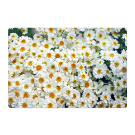 Магнитный плакат 3Х2 с принтом Ромашки в Курске, Полимерный материал с магнитным слоем | 6 деталей размером 9*9 см | букет | зелень | лепестки | природа | растения | ромашки | цветы