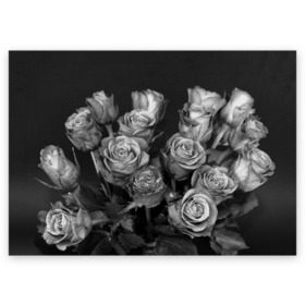 Поздравительная открытка с принтом Черно-белые розы в Курске, 100% бумага | плотность бумаги 280 г/м2, матовая, на обратной стороне линовка и место для марки
 | букет | цветы