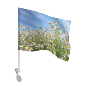 Флаг для автомобиля с принтом Ромашковый рай в Курске, 100% полиэстер | Размер: 30*21 см | лепестки | небо | прикольные картинки | ромашки | солнце | цветочки | цветы
