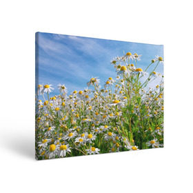 Холст прямоугольный с принтом Ромашковый рай в Курске, 100% ПВХ |  | Тематика изображения на принте: лепестки | небо | прикольные картинки | ромашки | солнце | цветочки | цветы