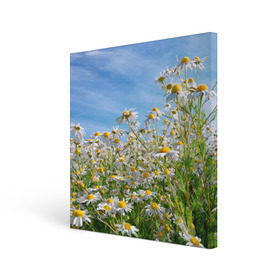 Холст квадратный с принтом Ромашковый рай в Курске, 100% ПВХ |  | лепестки | небо | прикольные картинки | ромашки | солнце | цветочки | цветы