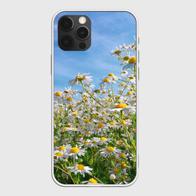 Чехол для iPhone 12 Pro Max с принтом Ромашковый рай в Курске, Силикон |  | лепестки | небо | прикольные картинки | ромашки | солнце | цветочки | цветы