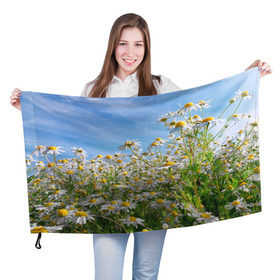 Флаг 3D с принтом Ромашковый рай в Курске, 100% полиэстер | плотность ткани — 95 г/м2, размер — 67 х 109 см. Принт наносится с одной стороны | лепестки | небо | прикольные картинки | ромашки | солнце | цветочки | цветы