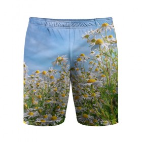 Мужские шорты 3D спортивные с принтом Ромашковый рай в Курске,  |  | лепестки | небо | прикольные картинки | ромашки | солнце | цветочки | цветы