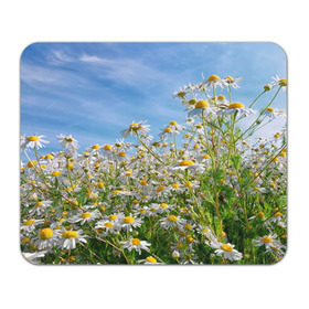 Коврик прямоугольный с принтом Ромашковый рай в Курске, натуральный каучук | размер 230 х 185 мм; запечатка лицевой стороны | лепестки | небо | прикольные картинки | ромашки | солнце | цветочки | цветы