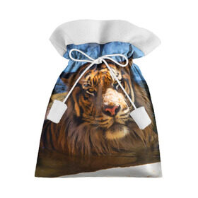 Подарочный 3D мешок с принтом Тигр в Курске, 100% полиэстер | Размер: 29*39 см | вода | дикая кошка | природа | тигр | хищник