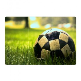 Магнитный плакат 3Х2 с принтом Футбол в Курске, Полимерный материал с магнитным слоем | 6 деталей размером 9*9 см | стадион | футбольное поле | футбольный мяч