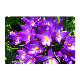 Магнитный плакат 3Х2 с принтом Сиреневая прелесть в Курске, Полимерный материал с магнитным слоем | 6 деталей размером 9*9 см | лепестки | прикольные картинки | сиреневый | цветочки | цветы