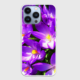 Чехол для iPhone 13 Pro с принтом Сиреневая прелесть в Курске,  |  | Тематика изображения на принте: лепестки | прикольные картинки | сиреневый | цветочки | цветы