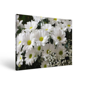 Холст прямоугольный с принтом Белоснежное цветение в Курске, 100% ПВХ |  | Тематика изображения на принте: ландыши | лепестки | прикольные картинки | ромашки | цветочки | цветы